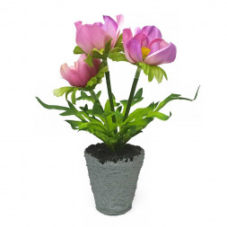 Цветок в кашпо Анемона розовая H-20см