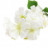 Цветок белый Н-76см 