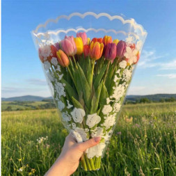 Конус прозрачный с рисунком Елена размер 50*60см уп 50шт