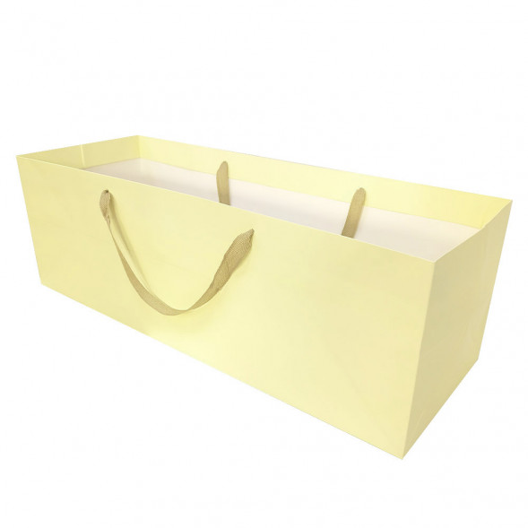 Пакет ЛЮКС однотонный размер 62*20*25см