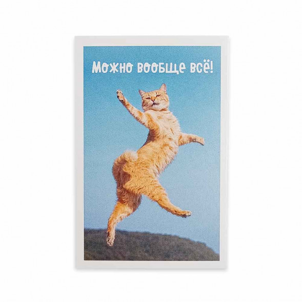 Мини-открытка Котики Можно вообще всё 5,5*8см
