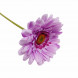 Гербера фиолетовая H-60см d-10см