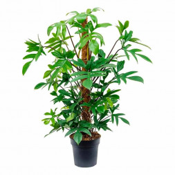 Опора кокос/пластик высота 100см