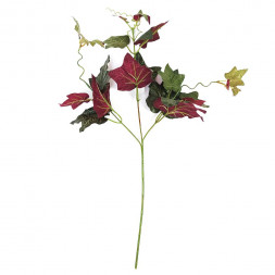 Плющ Голландский сад H-61см