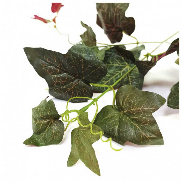 Плющ Голландский сад H-61см