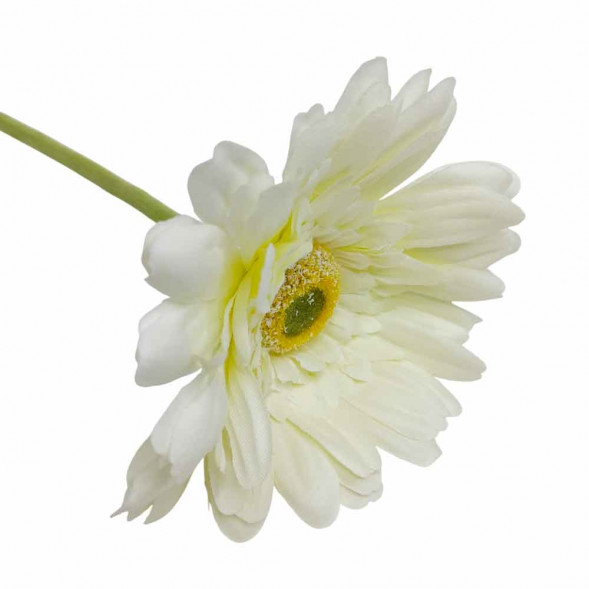 Гербера белая H-60см d-10см