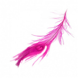 Перо Павлина крашеное длина 80/90см