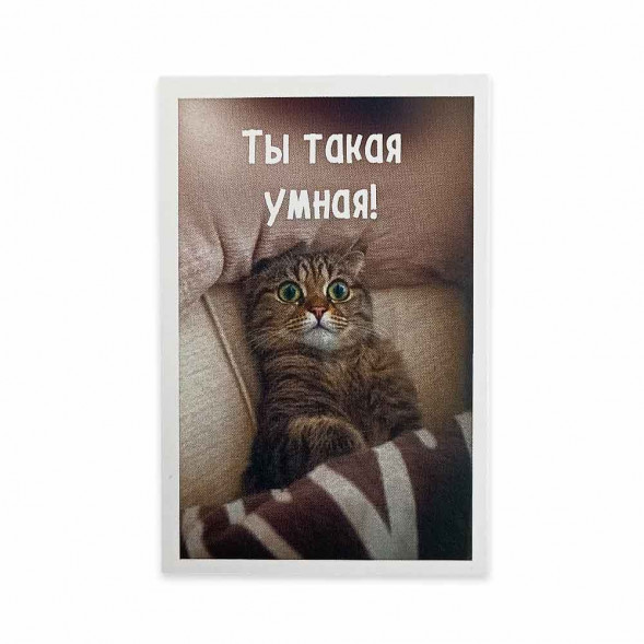 Мини-открытка Котики Ты такая умная 5,5*8см