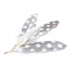 Перо с рисунком Горох размер 18см