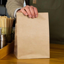 Пакет бумажный крафт 70г/м2 размер 30,5*21,5*12см уп 10шт