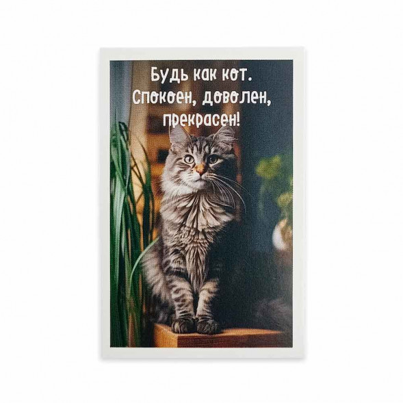 Мини-открытка Котики Будь как кот 5,5*8см