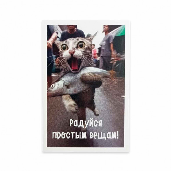 Мини-открытка Котики Радуйся простым вещам 5,5*8см