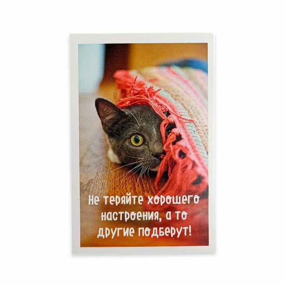 Мини-открытка Котики Не теряйте настроения 5,5*8см
