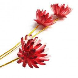 Астра стекло красная Н-75см 