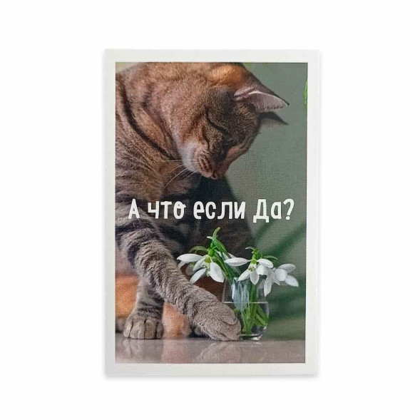 Мини-открытка Котики А что если да 5,5*8см