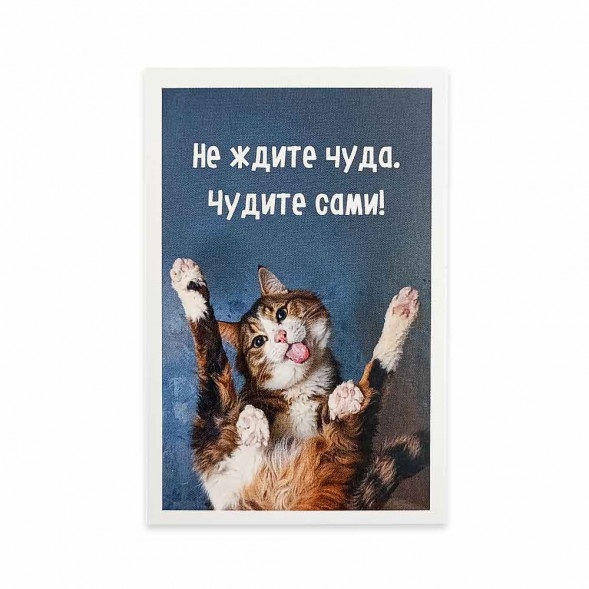Мини-открытка Котики Чудите сами 5,5*8см