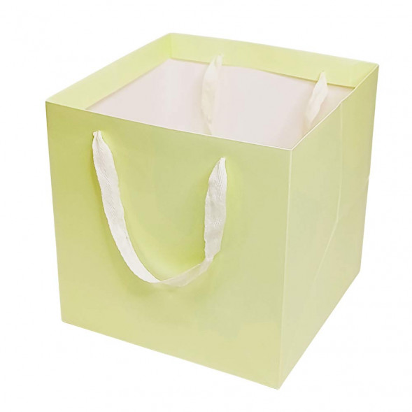 Пакет ЛЮКС однотонный размер 25*25*25см