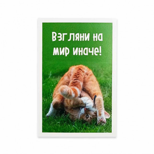 Мини-открытка Котики Взгляни на мир иначе 5,5*8см
