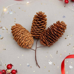 Шишки натуральные 4*9см 3шт