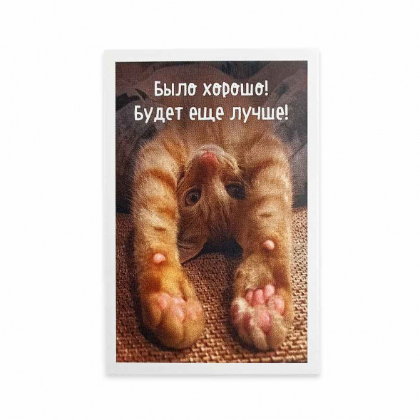 Мини-открытка Котики Будет еще лучше 5,5*8см