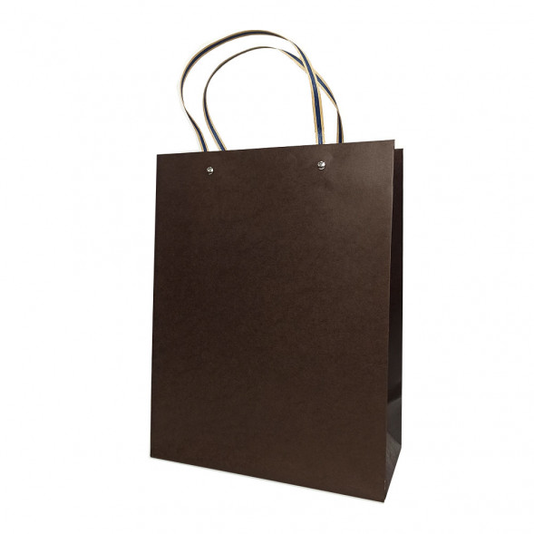 Пакет ЛЮКС однотонный размер 25,5*33*12,5см