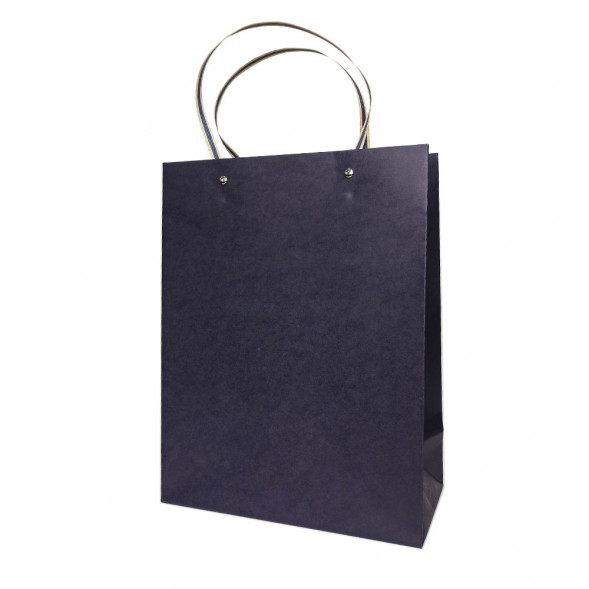 Пакет ЛЮКС однотонный размер 25,5*33*12,5см