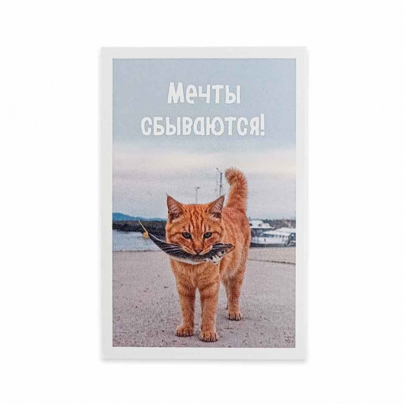 Мини-открытка Котики Мечты сбываются 5,5*8см