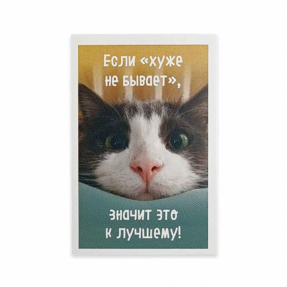 Мини-открытка Котики Это к лучшему 5,5*8см
