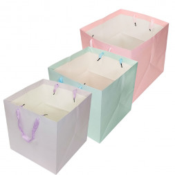 Пакет ЛЮКС однотонный размер 30*30*30см