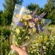 Пленка в рулоне Мотыльки желтые размер 60см*10м