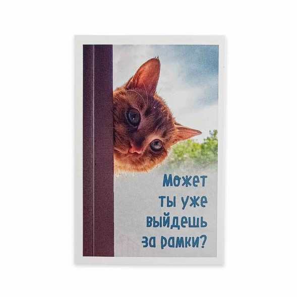 Мини-открытка Котики Выйдешь за рамки 5,5*8см