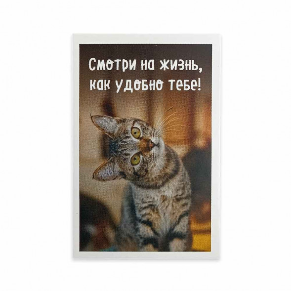 Мини-открытка Котики Смотри на жизнь, как удобно 5,5*8см