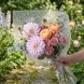 Пленка в рулоне с рисунком Мошка белая размер 70см*10м