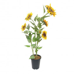 Подсолнухи в кашпо H-122см