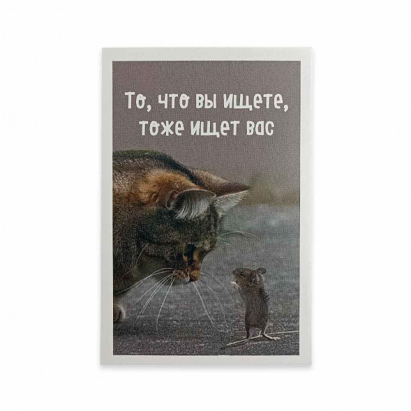 Мини-открытка Котики То, что вы ищете 5,5*8см
