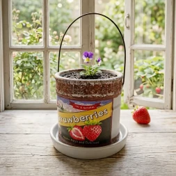 Кашпо керамическое Strawberries размер 7*7,5см