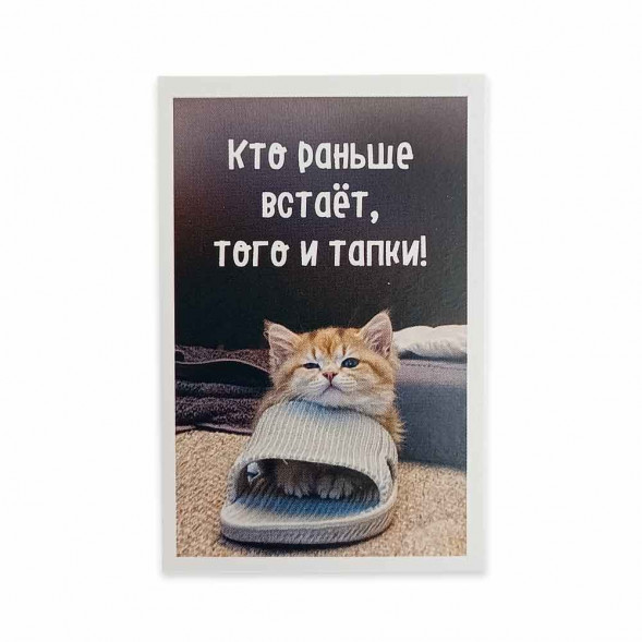 Мини-открытка Котики кто раньше встает 5,5*8см