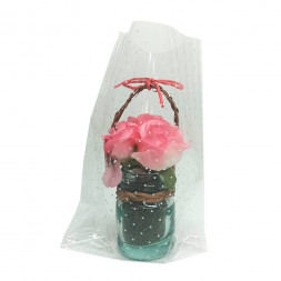 Пакет подарочный прозрачный Точки размер 10*15см (уп 50шт)