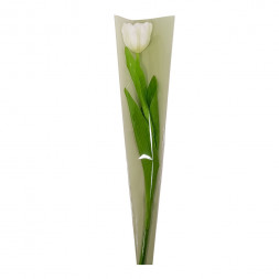 Конус матовый на 1 цветок зеленый однотонный размер 12*45см уп 50шт