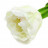 Тюльпан белый H-49см