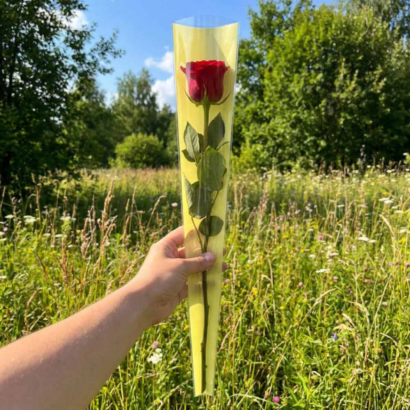 Конус прозрачный на 1 цветок желтый нежный  размер 15*80см уп 50шт