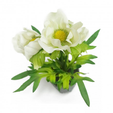 Цветок в кашпо Анемона белая H-20см