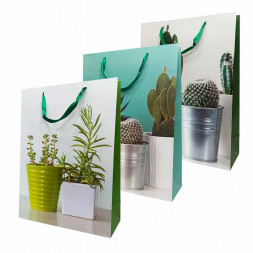 Пакет ЛЮКС Суккуленты размер 31*42*12см