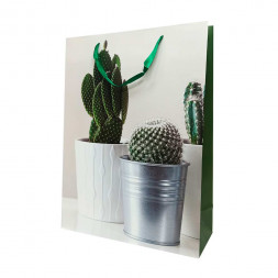 Пакет ЛЮКС Суккуленты размер 31*42*12см