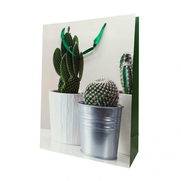 Пакет ЛЮКС Суккуленты размер 31*42*12см