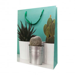 Пакет ЛЮКС Суккуленты размер 31*42*12см