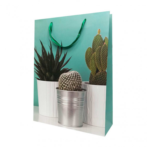 Пакет ЛЮКС Суккуленты размер 31*42*12см