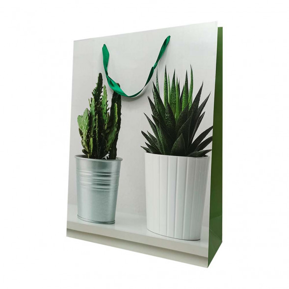 Пакет ЛЮКС Суккуленты размер 31*42*12см