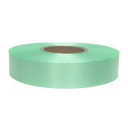 Лента простая полипропиленовая ментоловая размер 2см*50м