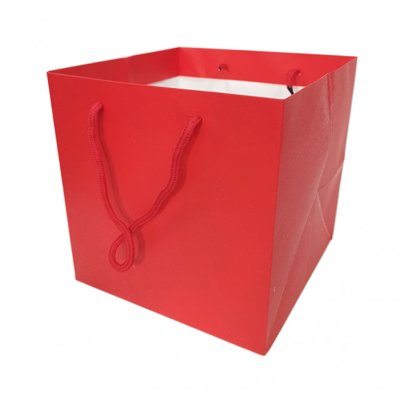 Пакет ЛЮКС однотонный размер 21*21*21см